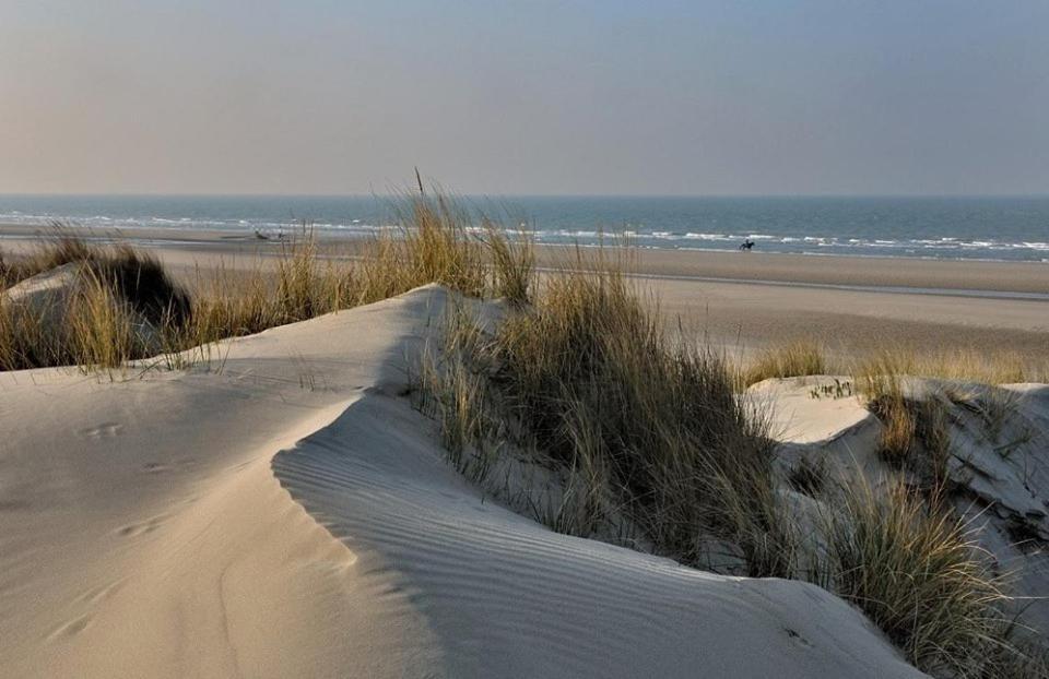 Bed and Breakfast L Imperatrice Berck Exterior foto
